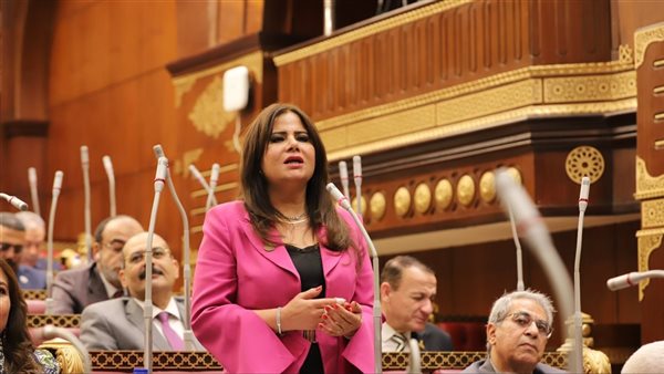 أمل رمزي في ذكرى 30 يونيو: الانتماء هو ما يحتاجه الوطن