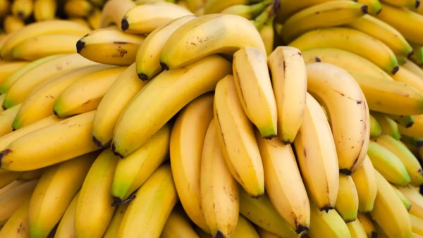 وجبة خفيفة تشحن طاقتك ..اهمية تناول الموز يوميا