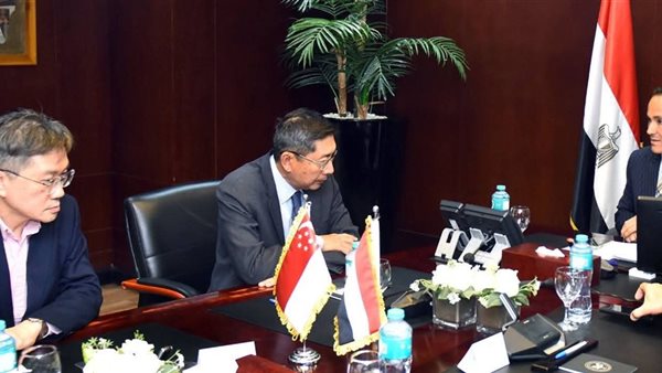 استثمارات سنغافورية في مصر تتخطى 562 مليون دولار
