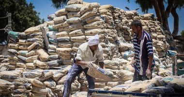 استقرار سعر الأسمنت اليوم الخميس 25 يونيو 2026 في الأسواق المصرية