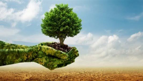 الابتكار في وثائق التأمين ونقل المخاطر
