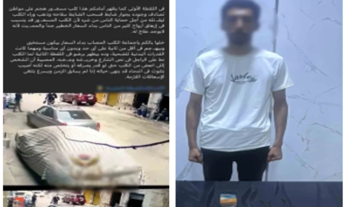الداخلية توضح حقيقة مقطعي فيديو حول الكلاب الضالة