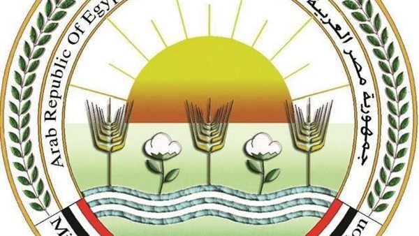 الزراعة تطلق برنامجًا لتدريب 50 موظفًا في التنمية الريفية ضمن مبادرة القرية المنتجة