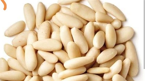 الصنوبر: كنز غذائي غني بالعناصر الضرورية لصحة القلب والعظام والمناعة