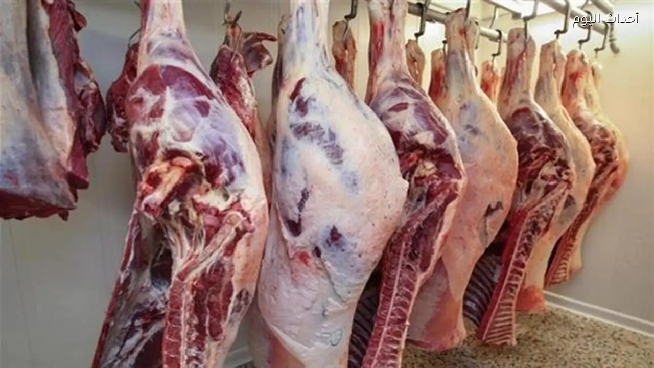 الضأن عند 483 جنيهًا والكبدة بين 350 و400 جنيه.. أسعار اللحوم اليوم