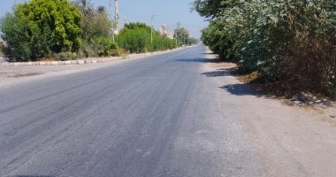 توقعات الطقس غدا: أجواء حارة ورطوبة مرتفعة مع شبورة صباحية والعظمى في القاهرة 35 درجة