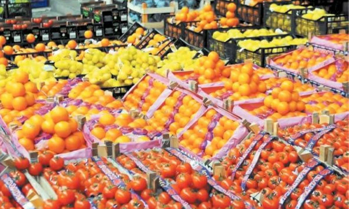 الطماطم بـ15 جنيهًا والتفاح بـ60.. أسعار الخضار والفاكهة في أسواق الإسكندرية الثلاثاء 16 يونيو 2026
