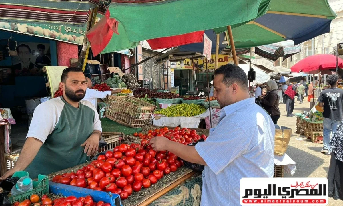 الطماطم بـ25 جنيهًا.. أسعار الخضار والفاكهة بأسواق الشرقية اليوم الخميس 18 يونيو 2026