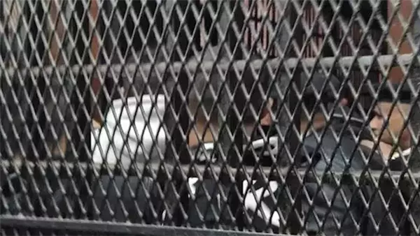 اليوم.. استئناف تشكيل عصابي على حكم بالسجن 10 سنوات في قضية حيازة حشيش بالمعصرة