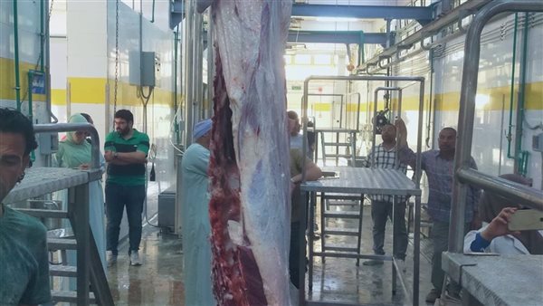 وزيرة التنمية المحلية تعلن بدء التشغيل التجريبي لمجزر قلمشاة بالفيوم بتكلفة 27 مليون جنيه