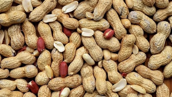 بعد ضبطها في محلات لبيع الفول السوداني.. أستاذة طب شرعي تحذر من مخاطر مادة التارترازين: قد تؤثر على الجهاز العصبي والكبد