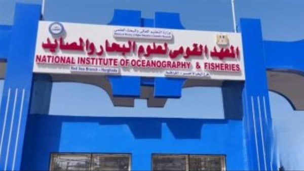 تقرير لعلوم البحار يطالب بإلغاء المنع المتصل للصيد لثلاثة أشهر بالبحر الأحمر واستبداله بالمنع المرن