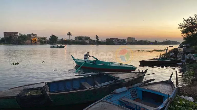 قرية جماجمون بكفر الشيخ: تاريخ عريق ومعاناة في غياب الخدمات الأساسية (صور)