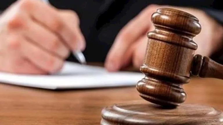 محكمة القاهرة الاقتصادية تقبل استئناف البلوجر نرمين طارق وتوقف تنفيذ عقوبة الحبس