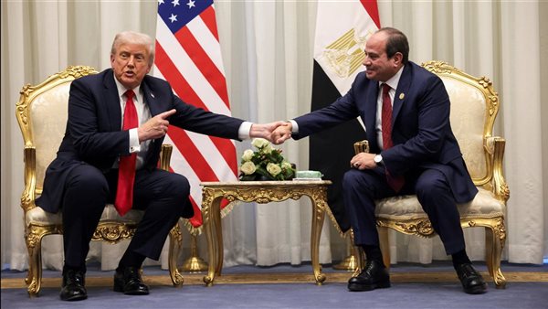 خبير: مصر 30 يونيو أجبرت المجتمع الدولي على تبني رؤيتها لإنقاذ القضية الفلسطينية