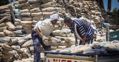 سعر الأسمنت اليوم السبت 27 يونيو 2026: استقرار عند 4200 جنيه للطن
