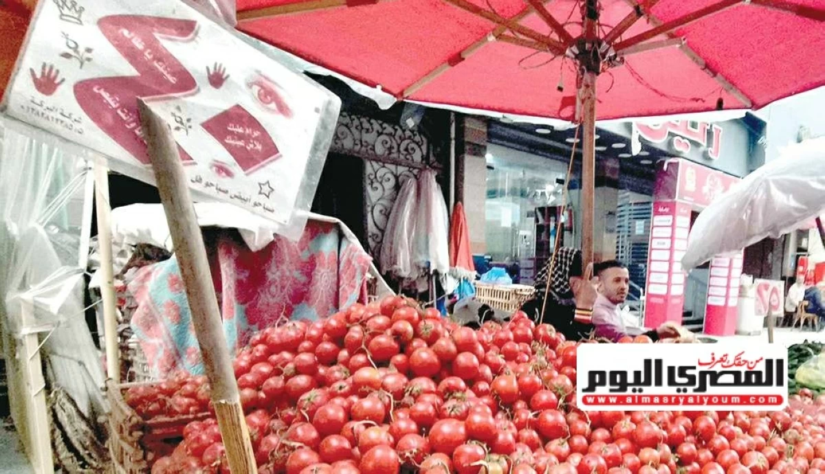 سعر البصل والطماطم والخضار في الأسواق اليوم الأربعاء 17 يونيو 2026