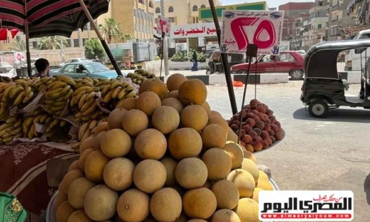 سعر البطيخ والبرقوق والفاكهة في الأسواق اليوم الثلاثاء 16 يونيو 2026