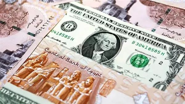 سعر الدولار اليوم 25 يونيو 2026: انخفاض أمام الجنيه في البنوك – آخر تحديث رسمي