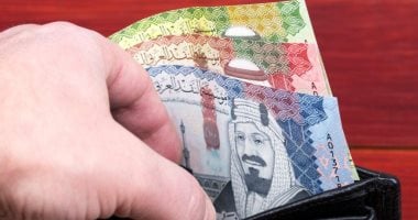 سعر الريال السعودى أمام الجنيه اليوم الثلاثاء 16-6-2026