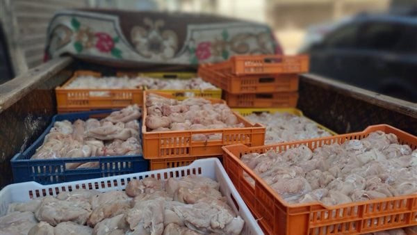 ضبط أكثر من نصف طن دواجن فاسدة داخل مطعم شهير بالفيوم