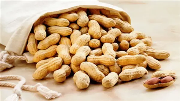 ضبط لون صناعي يستخدم في تلوين اللب والسوداني ببني سويف.. وسلامة الغذاء تتخذ الإجراءات القانونية