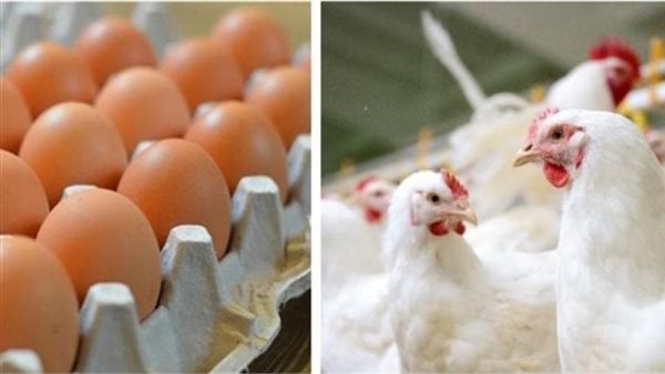 جبن البارميزان: طعام غني بالبروتين يتفوق على البيض والزبادي