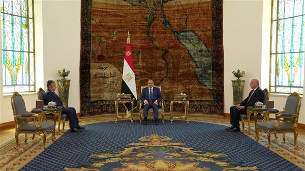 عاجل.. السيسي يستقبل نبيل فهمي المرشح لمنصب الأمين العام لجامعة الدول العربية