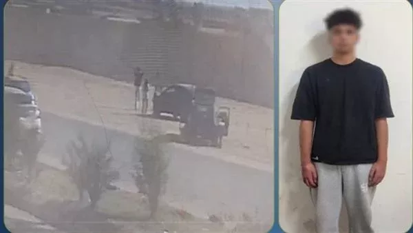 عبر الفيديو كونفرانس.. نظر جلسة تجديد حبس المتهمين في واقعة دهس هدير بائعة الشاي بحدائق الأهرام