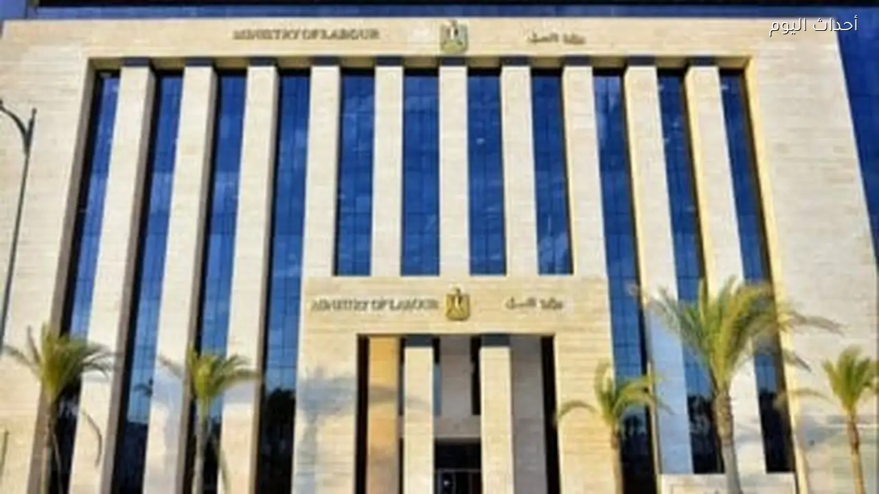 وزارة العمل تعلن عن فرص عمل لذوي الهمم بالقاهرة والجيزة.. تفاصيل