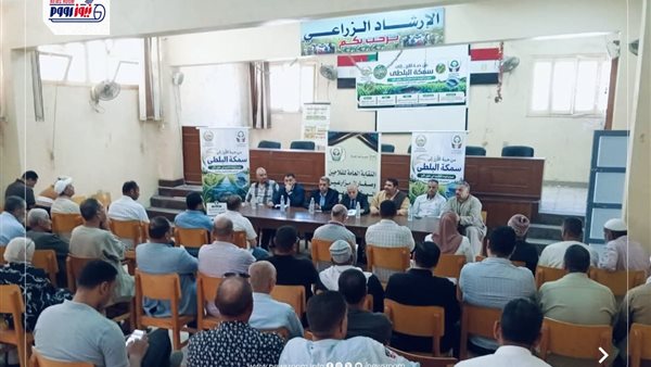 كفر الشيخ تعزز دخل المزارعين بزراعة الأرز والبلطي معًا