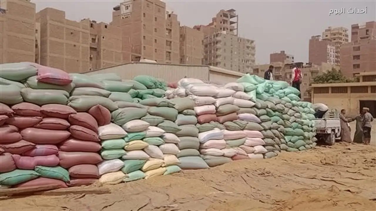محافظ أسيوط: استقبال 241 ألف طن قمح منذ بدء موسم التوريد