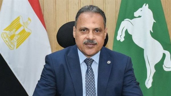 محافظ الشرقية يعلن عن 1396 فرصة عمل في 12 مصنعًا وشركة