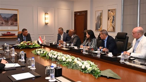 محافظة جنوب سيناء تبحث مع شركة اتصالات مصر فرص التعاون في التحول الرقمي والمشروعات الذكية