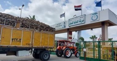تقرير يكشف تراجعًا حادًا في أرباح شركة الدلتا للسكر مع ملاحظات مالية بالمليارات