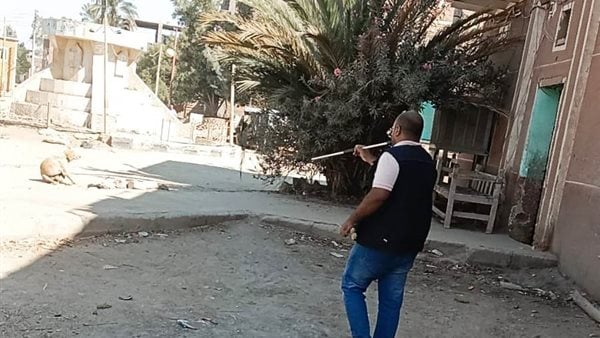 مواصلة حملات تحصين الكلاب بأسوان للحد من الأمراض والحفاظ على سلامة المواطنين