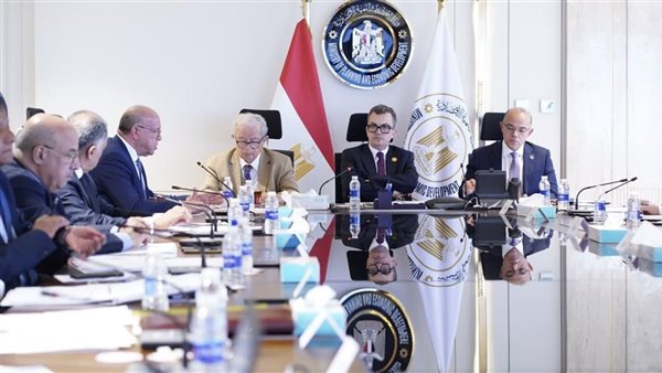 وزير التخطيط: فض تشابكات مالية بقيمة 196 مليار جنيه تعود بعضها  للثمانينيات