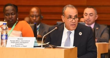 وزير الخارجية يؤكد أهمية تعزيز التضامن العربي وصون الأمن القومي العربي