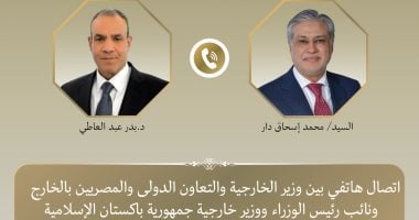 وزير الخارجية يبحث مع نظيره الباكستاني التطورات الإقليمية