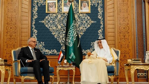 وزير الري المصري يبحث تفعيل مذكرة التفاهم مع السعودية في مجال الموارد المائية