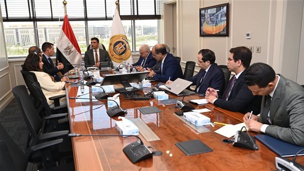 وزير الصناعة يناقش خطط تعميق التصنيع المحلي مع شنايدر إلكتريك