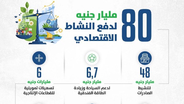 وزير المالية: 80 مليار جنيه لدعم القطاع الخاص وريادة الأعمال في الموازنة الجديدة