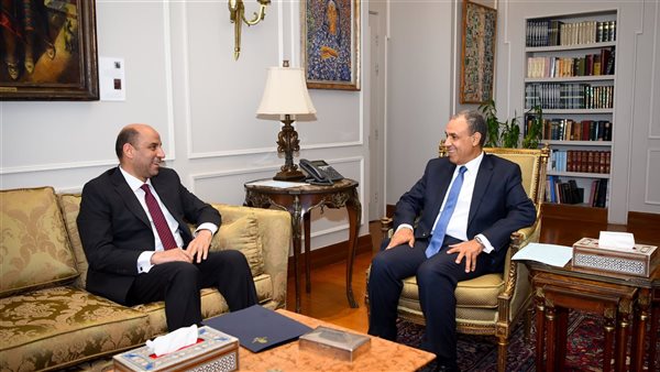وزيرا العمل والخارجية يناقشان تعزيز التعاون في ملف العمالة المصرية بالخارج