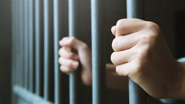 ضبط مالك عربة مأكولات و5 عمال اعتدوا على مسؤولين بحي العجمي أثناء حملة لإزالة الإشغالات