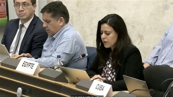 مصر تؤكد أهمية التعاون الدولي في إدارة الهجرة المستدامة