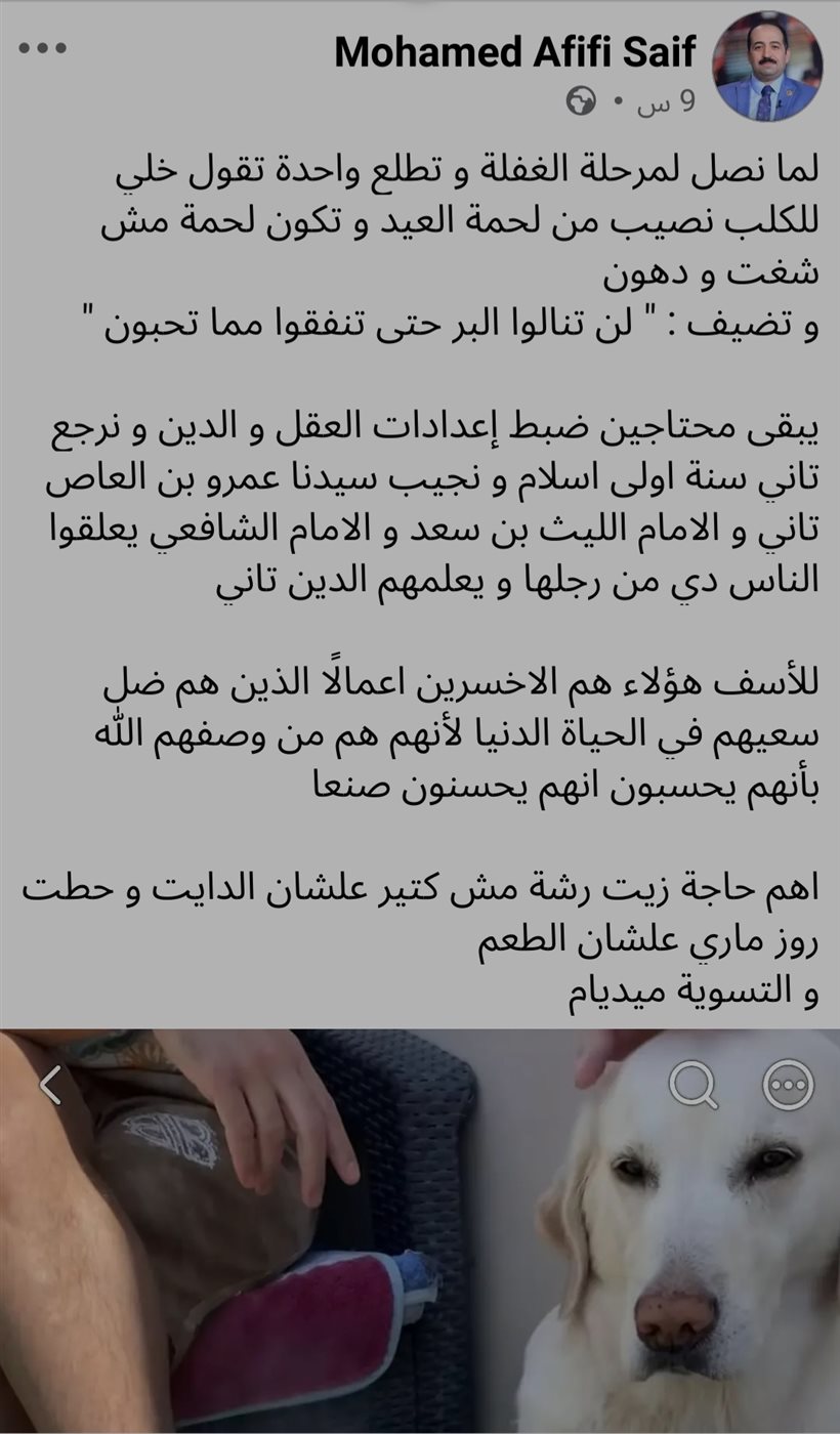 صورة توضيحية