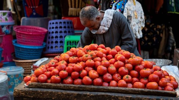 سعر الطماطم اليوم في رابع أيام عيد الأضحى 2026