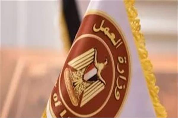 300 فرصة عمل جديدة في الإسماعيلية.. الشروط وطريقة التقديم