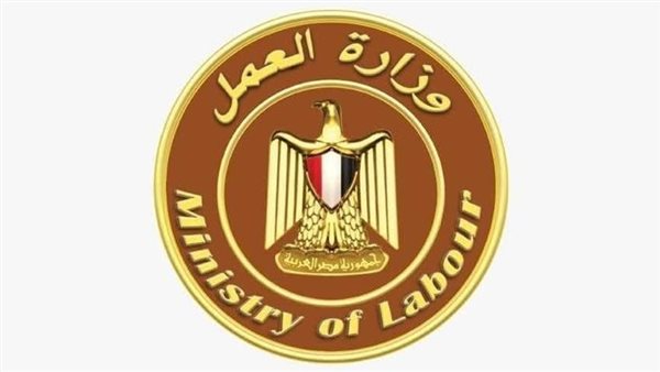 300 وظيفة جديدة في الإسماعيلية والشروط ورابط التقديم