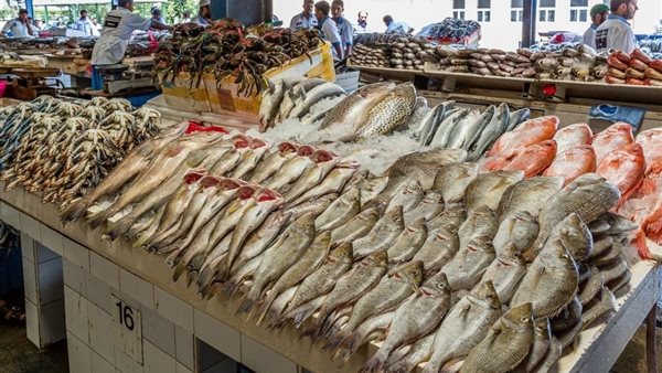 أسعار الأسماك في عيد الأضحى 2026: ارتفاع الجمبري وتراجع البلطي